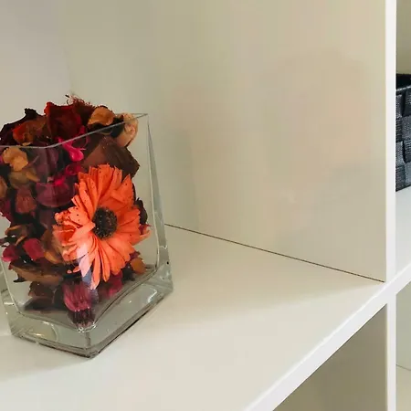 Galla Old Town Center Apartment Craiova