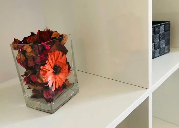 Galla Old Town Center Daire Craiova